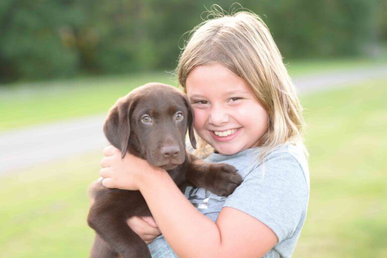 Dog Training in Jackson, MS Timber Creek Retrievers